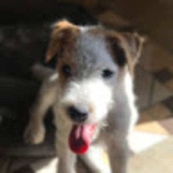 Meet your Posher, Maria - Picture 1 of 1